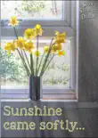 Sunshine Came Softly... synopsis, comments