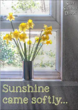 sunshine came softly... book cover image