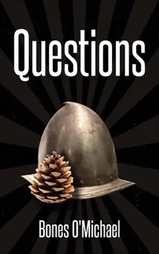questions book cover image