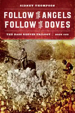 follow the angels, follow the doves book cover image