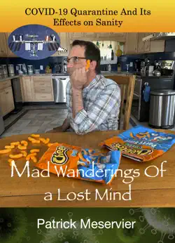 mad wanderings of a lost mind book cover image
