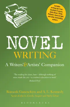 novel writing book cover image