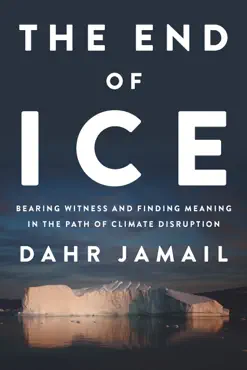 the end of ice book cover image