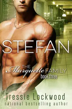 stefan book cover image
