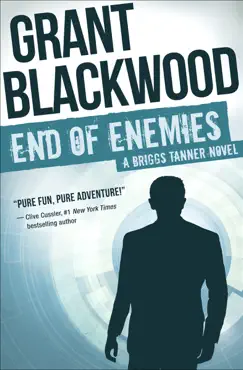 end of enemies book cover image