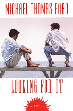 looking for it book cover image