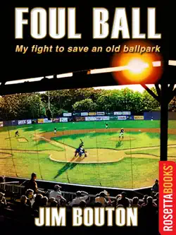 foul ball book cover image