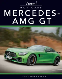 mercedes amg-gt book cover image