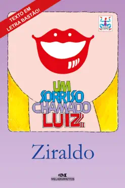 um sorriso chamado luiz book cover image