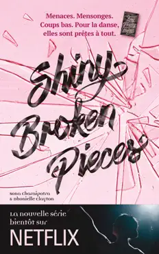 tiny pretty things - tome 2 - shiny broken pieces book cover image