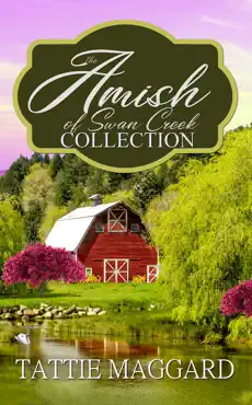 the amish of swan creek collection book cover image