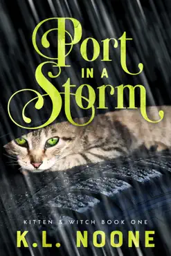 port in the storm book cover image