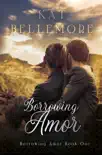 Borrowing Amor book summary, reviews and download