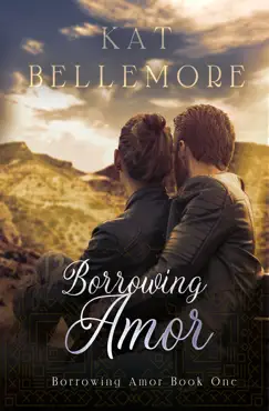 borrowing amor book cover image