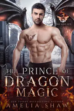 the prince of dragon magic book cover image