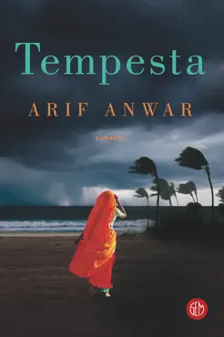 tempesta book cover image