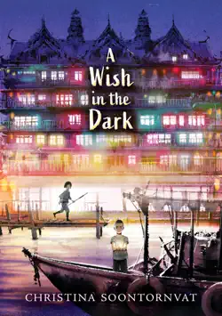a wish in the dark book cover image