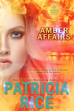 amber affairs book cover image