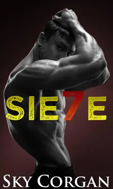 sie7e book cover image