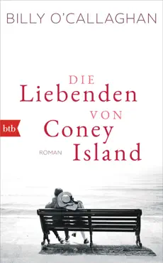 die liebenden von coney island book cover image