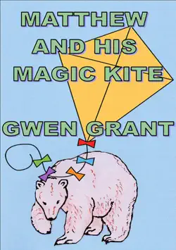 matthew and his magic kite book cover image
