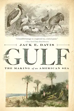 the gulf: the making of an american sea book cover image