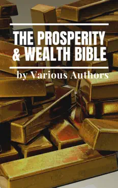 the prosperity & wealth bible imagen de la portada del libro