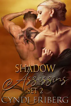 shadow assassins part 2 book cover image