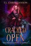Cracked Open book summary, reviews and download