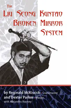 the liu seong kuntao broken mirror system book cover image