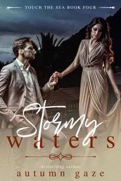 stormy waters book cover image