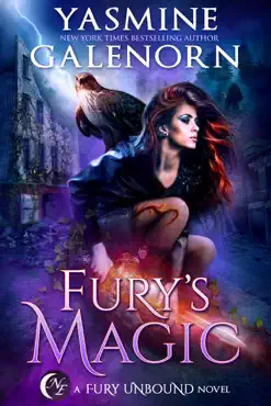 fury's magic book cover image