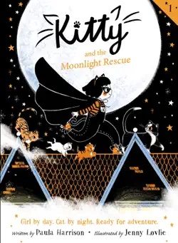 kitty and the moonlight rescue book cover image
