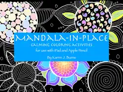 mandala-in-place book cover image