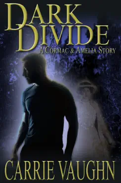 dark divide book cover image