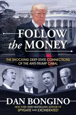 follow the money book cover image