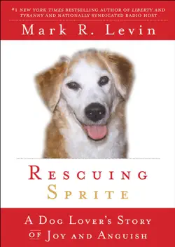 rescuing sprite book cover image