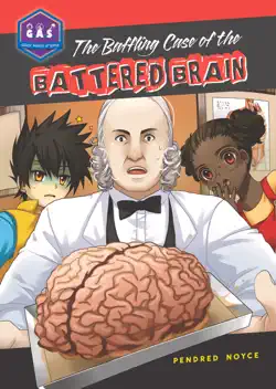 the baffling case of the battered brain book cover image