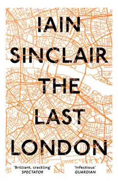 the last london book cover image