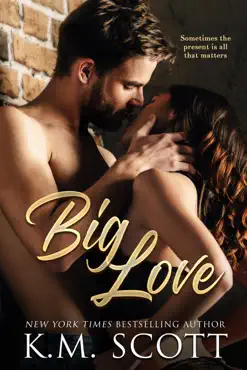 big love book cover image
