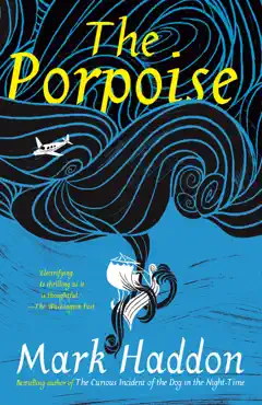the porpoise book cover image
