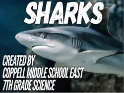 sharks book cover image