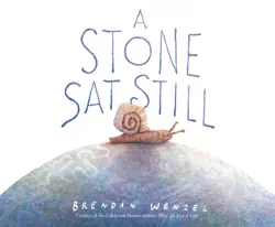 a stone sat still book cover image