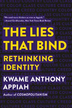 the lies that bind: rethinking identity book cover image