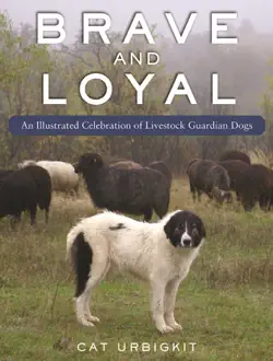 brave and loyal book cover image