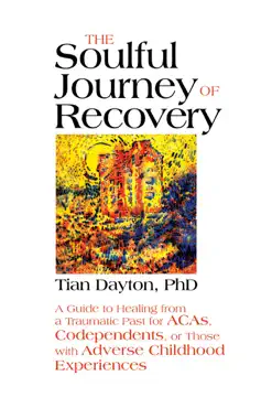 the soulful journey of recovery book cover image