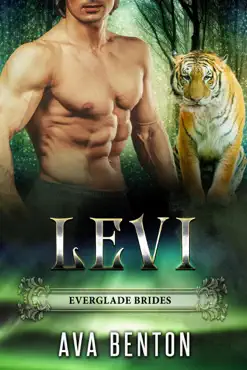levi book cover image