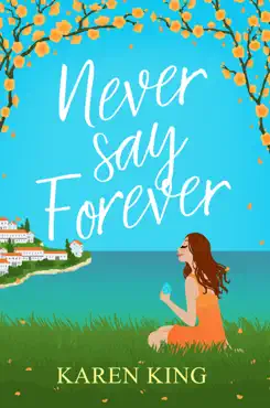 never say forever book cover image