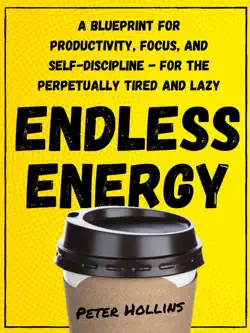endless energy book cover image