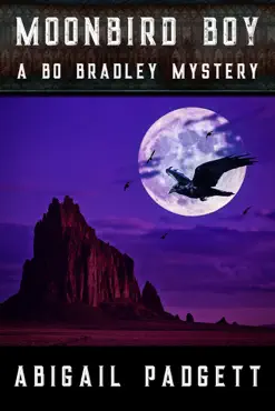 moonbird boy book cover image
